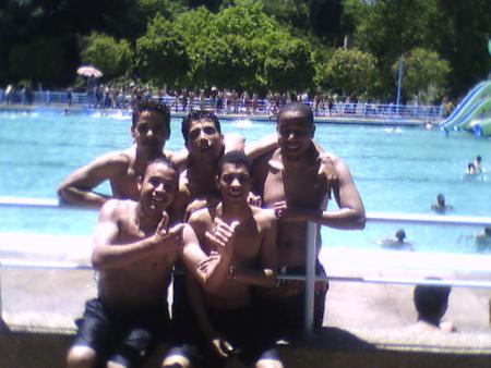 dima lpilita majmo3a